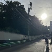 港区南青山の賃貸物件/「北坂」を下って見える景色。逆光ですが、何とも夏を感じることが出来る景色です。
