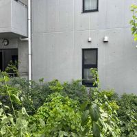 三鷹市井の頭の賃貸物件/南側の窓の外は共用部。緑が間に入って、向かいの区画と距離があります