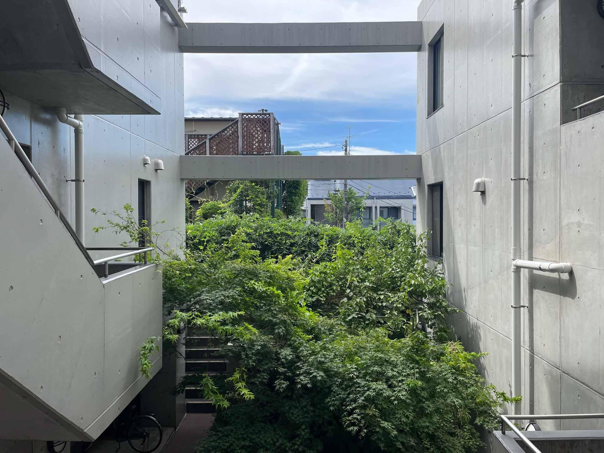 三鷹市井の頭の賃貸物件/共用部の真ん中に緑を据えています