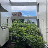 三鷹市井の頭の賃貸物件/共用部の真ん中に緑を据えています