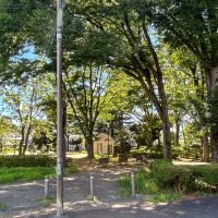 世田谷区駒沢の賃貸物件/駒沢緑泉公園。奥に駒沢はらっぱプレーパークもあります