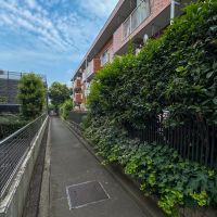 世田谷区上用賀の売買物件/庭前面の通路。たまに近所の人が通ります