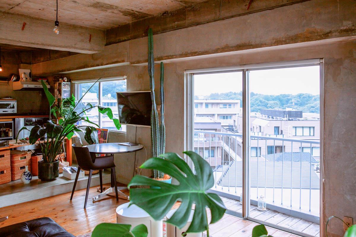 渋谷区代々木の売買物件/ソファに腰をかけるとこんな眺め