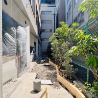 渋谷区渋谷の賃貸物件/入口から路地奥を見るとこんな感じ。植栽はもう少し増える予定です