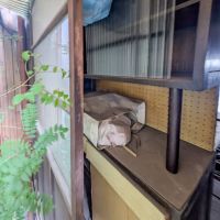 文京区本郷の賃貸物件/勝手口付近には残置物の棚があります。（撤去可）