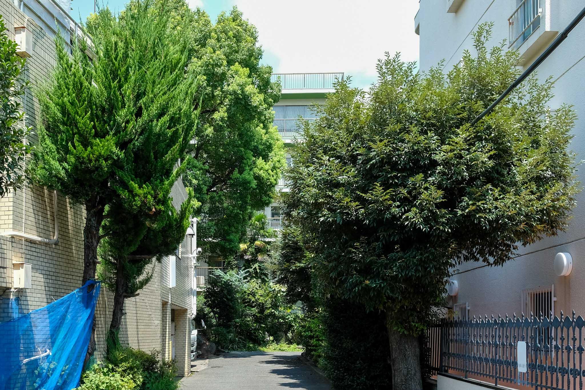 渋谷区代々木の賃貸物件/通りからはこの通り。緑の奥に潜んでいる