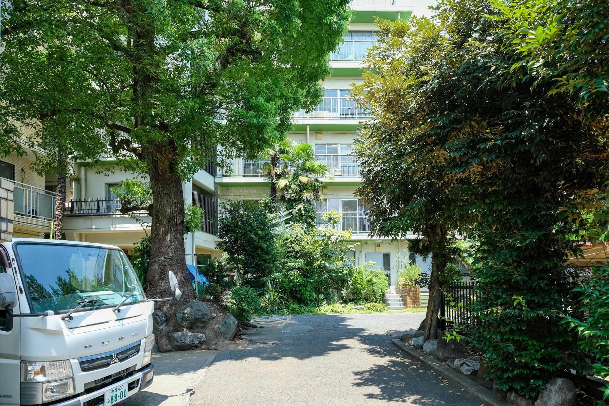 渋谷区代々木の賃貸物件/寄りで建物を撮影しましたが、緑で見えません