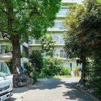 渋谷区代々木の賃貸物件/寄りで建物を撮影しましたが、緑で見えません