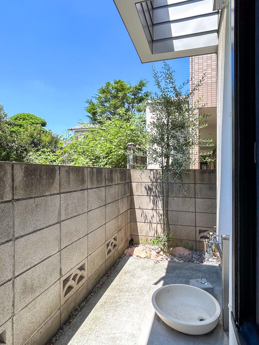 練馬区錦の賃貸物件/1階：外に植えられたオリーブの木。水栓もすぐ横にあります