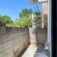 練馬区錦の賃貸物件/1階：外に植えられたオリーブの木。水栓もすぐ横にあります