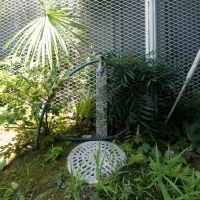 中野区上高田の賃貸物件/水栓付きなので、無理のない範囲で庭仕事を楽しんでもらえれば