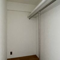 世田谷区三軒茶屋の賃貸物件/リビングにウォークインクローゼット