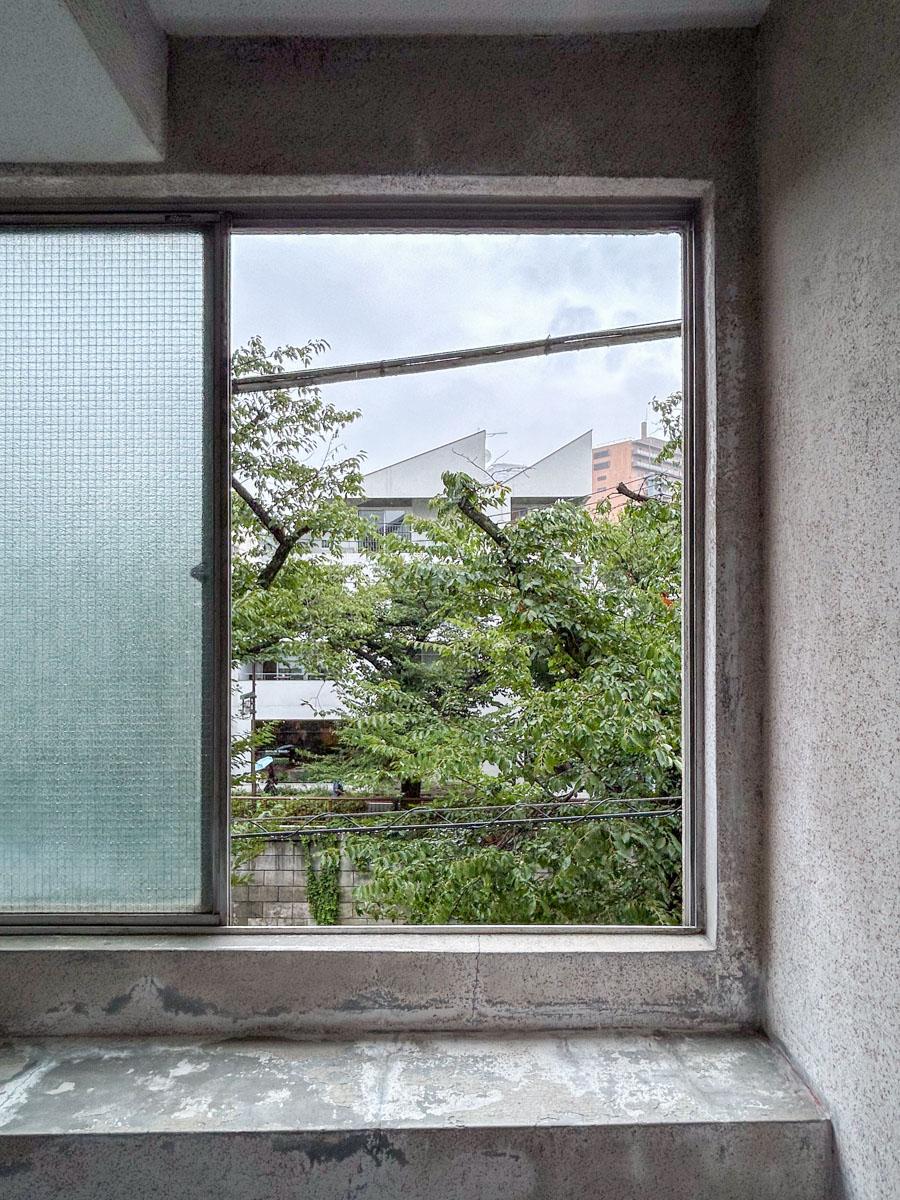 目黒区上目黒の賃貸物件/共用階段の踊り場から、桜が見えます