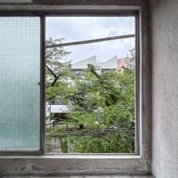 目黒区上目黒の賃貸物件/共用階段の踊り場から、桜が見えます