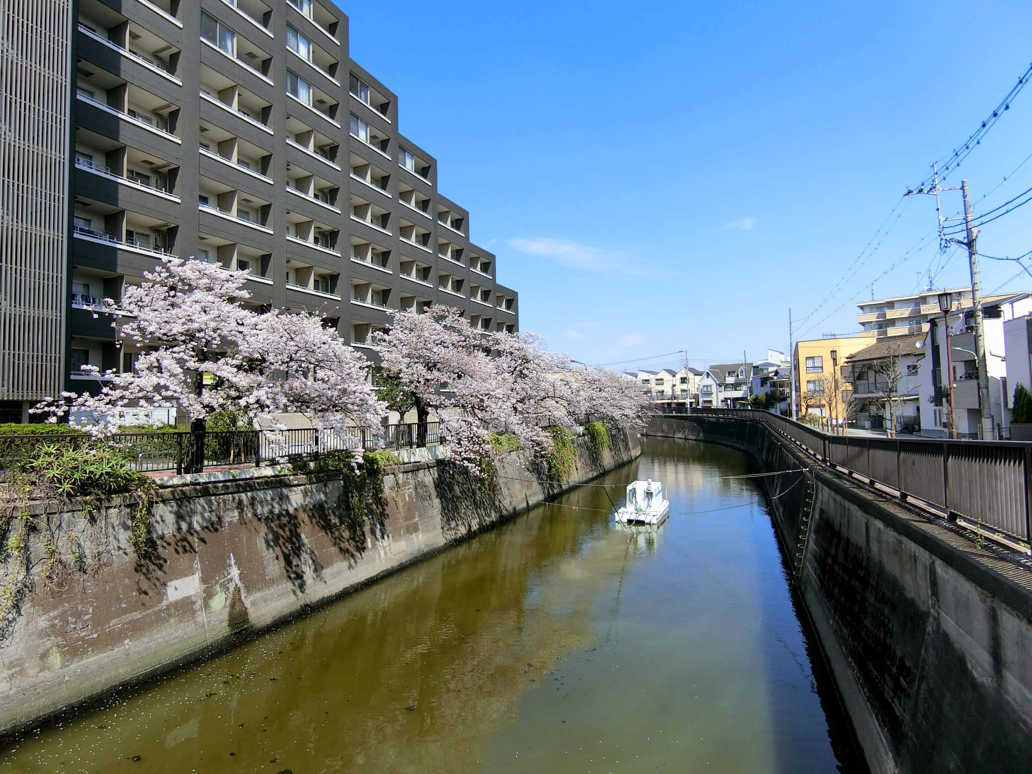 大田区西蒲田の賃貸物件/川沿いの桜が毎年春の訪れを知らせてくれます