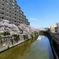 大田区西蒲田の賃貸物件/川沿いの桜が毎年春の訪れを知らせてくれます