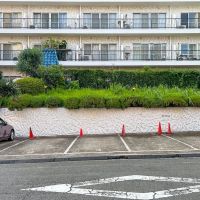 渋谷区千駄ヶ谷の賃貸物件/道路から少し高い位置にある1階部分。植栽があるため、外から中の様子は見えません
