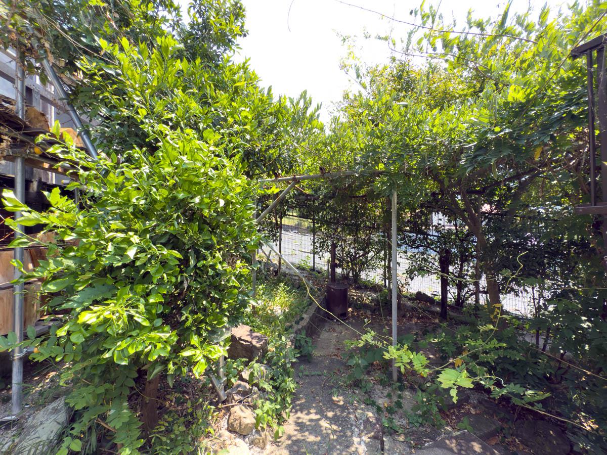 青梅市沢井の売買物件/お庭の一角には藤棚もあります