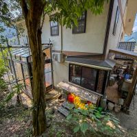 青梅市沢井の売買物件/建物裏の山側からパチリ。敷地には雰囲気のある木々たちも