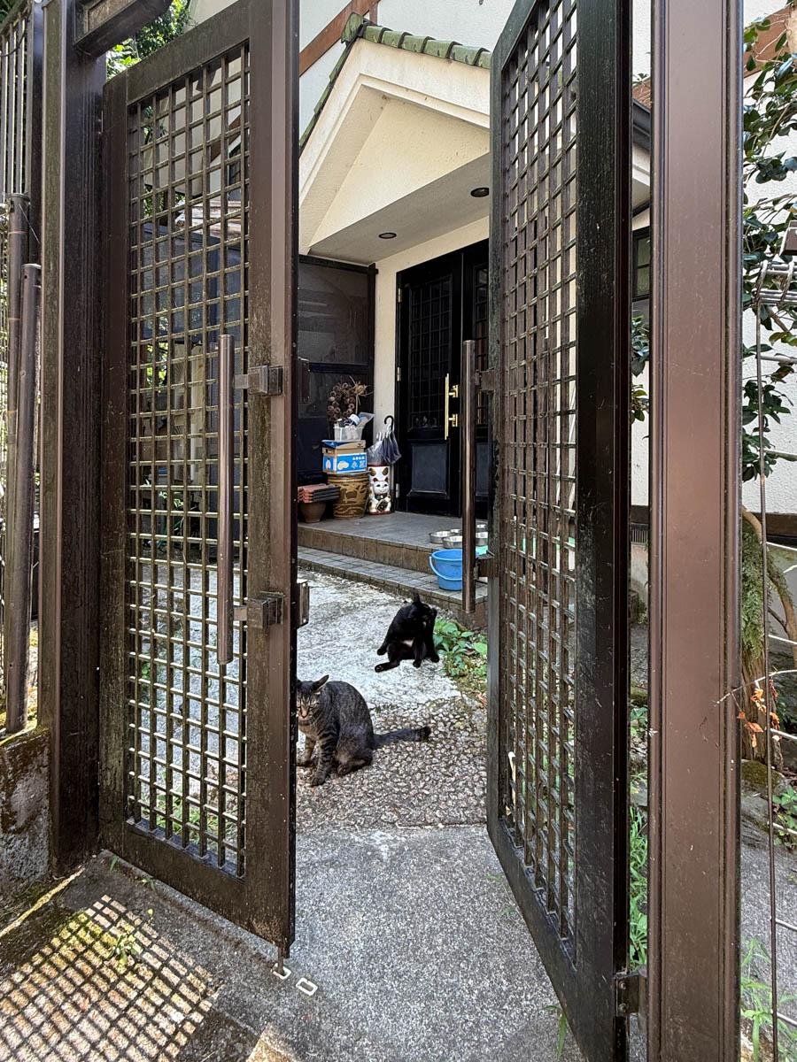 青梅市沢井の売買物件/入口の門扉、その奥には玄関となります。地域猫ちゃんたちが我が家のようにくつろぐ