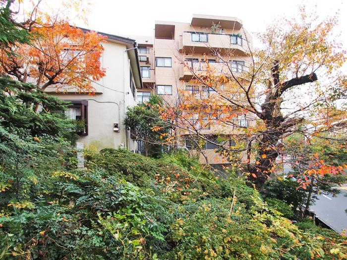 渋谷区松濤の賃貸物件/1号室の窓からの景色。春は桜、初夏の新緑、そして冬は野鳥がやってくる、渋谷とは思えない環境です