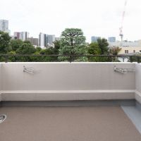 港区白金の賃貸物件/小さい方のバルコニーは緑豊か（覗き込むと墓が見えます）。ポールをかけるフックが壊れているので、置き型の洗濯物干しなどをご用意いただく必要があります