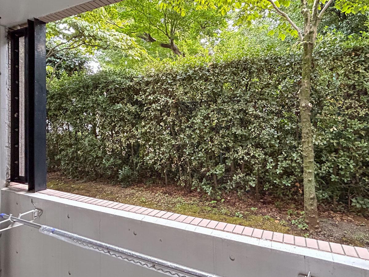 杉並区善福寺の賃貸物件/植栽が寄り添うバルコニー
