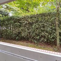 杉並区善福寺の賃貸物件/植栽が寄り添うバルコニー