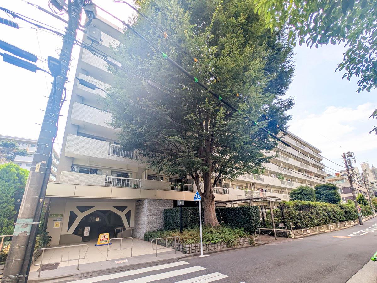 港区南青山の賃貸物件/外観。マンションが見えなくなるほどの大きな木が目印。