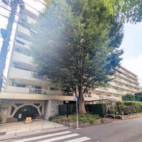 港区南青山の賃貸物件/外観。マンションが見えなくなるほどの大きな木が目印。