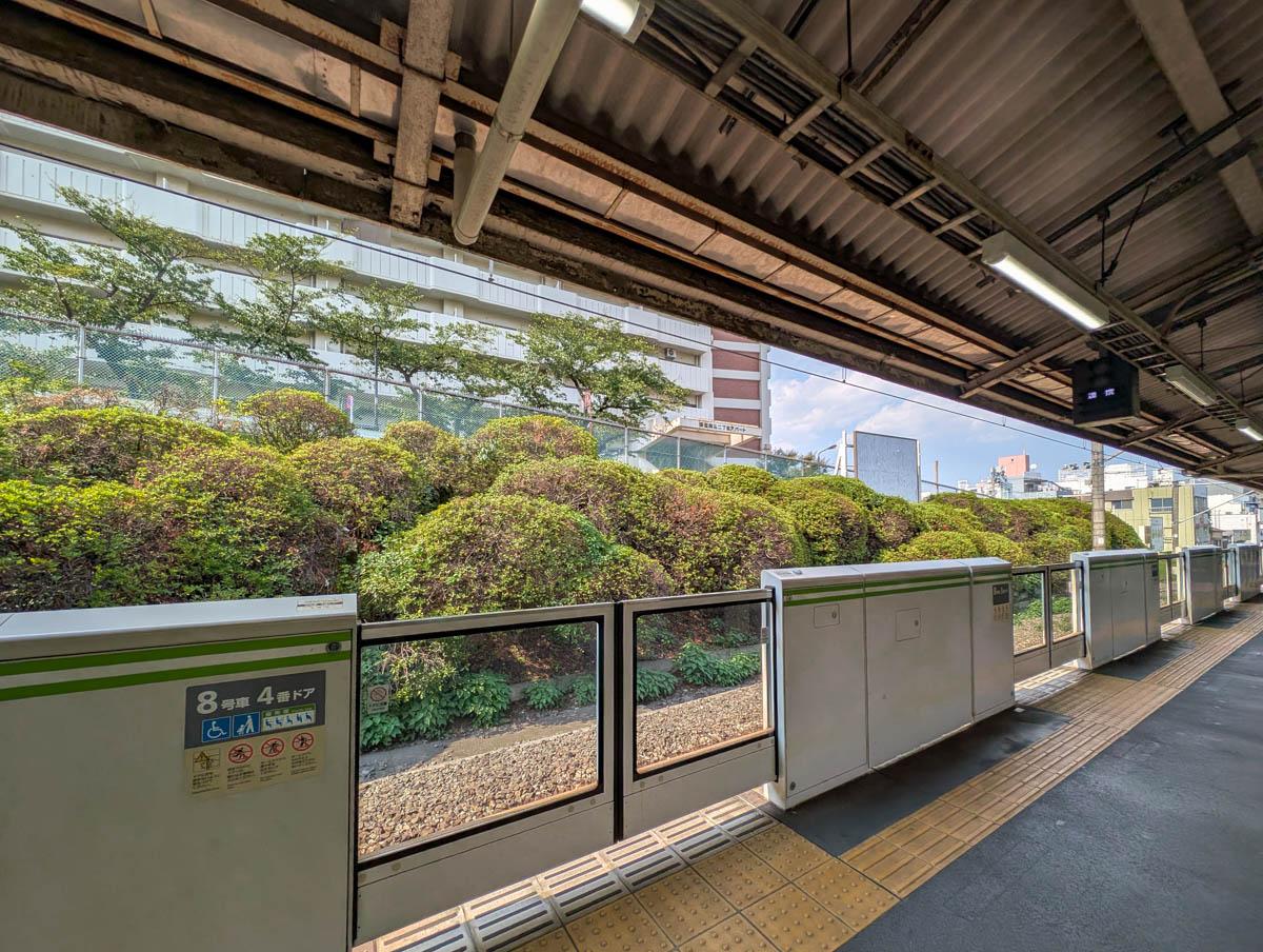 文京区本駒込の賃貸物件/駒込駅周辺は緑に囲まれていて、なんだかいい気持ち。