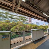 文京区本駒込の賃貸物件/駒込駅周辺は緑に囲まれていて、なんだかいい気持ち。