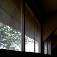 埼玉県大里郡寄居町寄居の賃貸物件/テナント④の窓からは、背の高い木や秩父の山が見えます