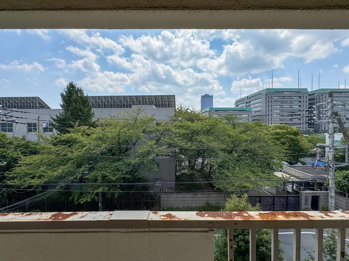 新宿区市谷左内町の賃貸物件/窓の外には防衛省の桜の木。桜の時期が楽しみ