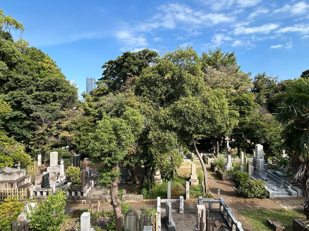 港区南青山の賃貸物件/二階からの眺望