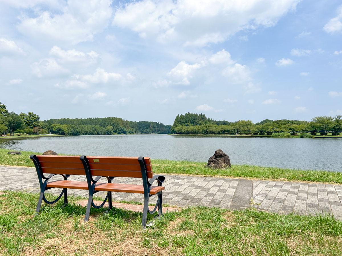 葛飾区東水元の賃貸物件/近所の「水元公園」。ここは本当に東京なのかと思うほど、豊かな自然が広がる