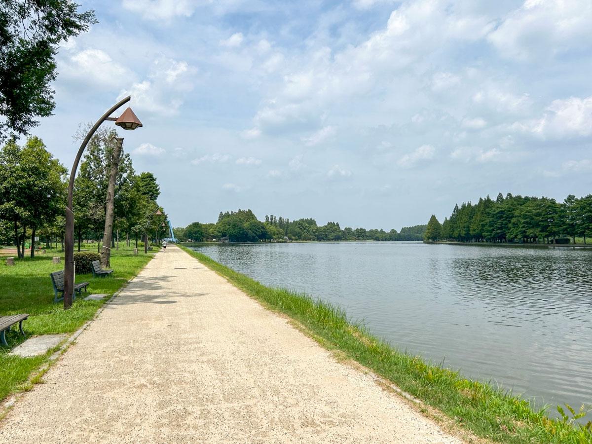 葛飾区東水元の賃貸物件/水元公園：大きな池と、どこまでも伸びるような道。雄大な自然が美しい