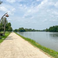 葛飾区東水元の賃貸物件/水元公園：大きな池と、どこまでも伸びるような道。雄大な自然が美しい