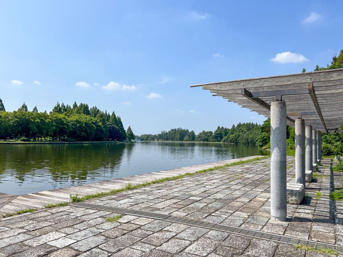 葛飾区東水元の賃貸物件/水元公園：池のほとりにあるパーゴラの下でひと休憩
