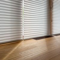 杉並区高井戸東の賃貸物件/1階：ロールスクリーン越しに柔らかく入る光もいい感じ