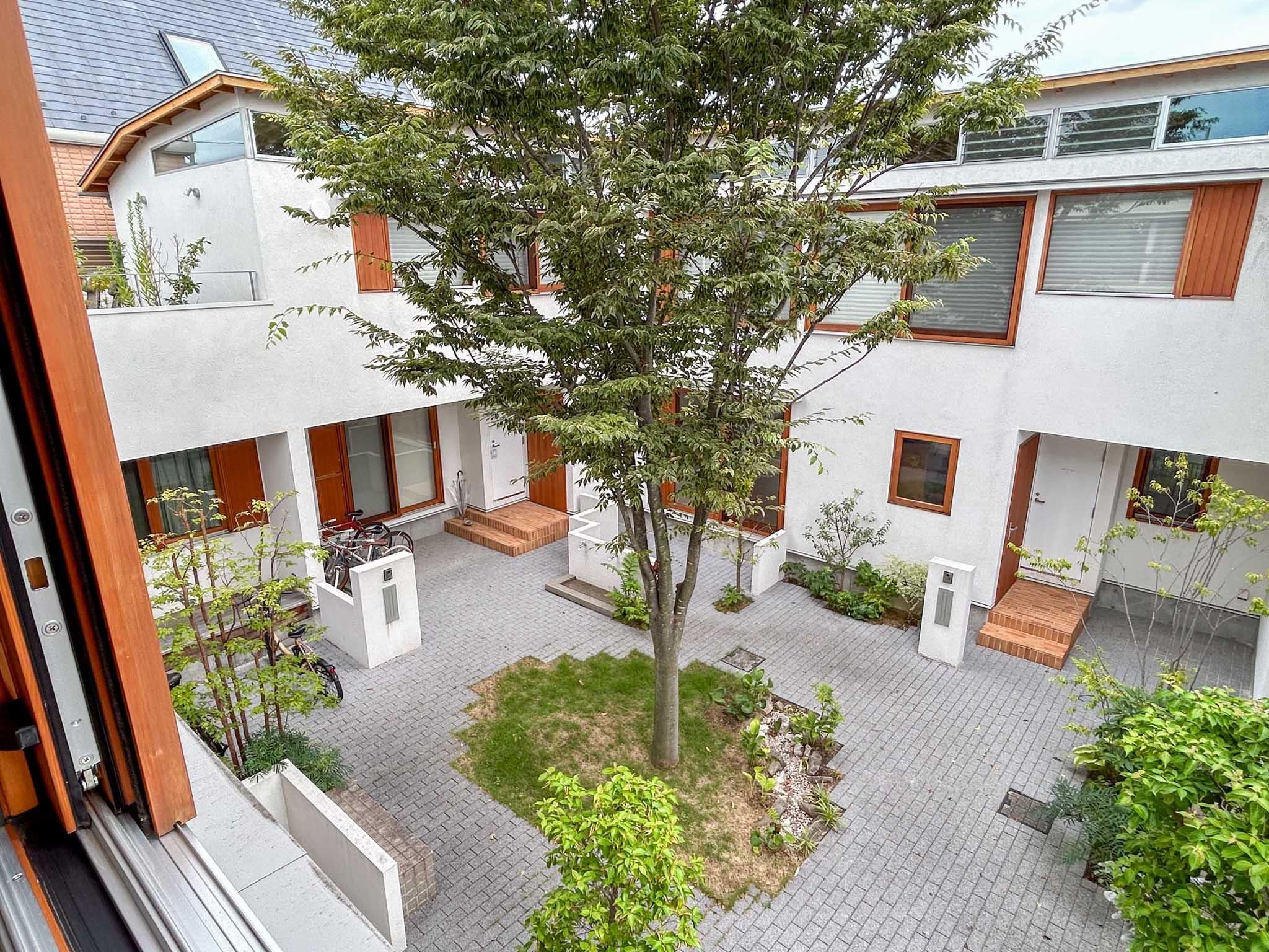 杉並区高井戸東の賃貸物件/2階：ケヤキを中心に植栽で彩られた中庭