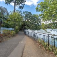大田区南千束の賃貸物件/最寄りの洗足池駅までは池沿いの小道を通って