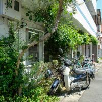 世田谷区若林の賃貸物件/アプローチ