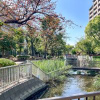 江東区南砂の賃貸物件/散歩コースにぴったりな「仙台堀川公園」