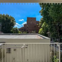 杉並区堀ノ内の賃貸物件/リビングの窓からはこの景色。緑豊かな景色が心を癒してくれます