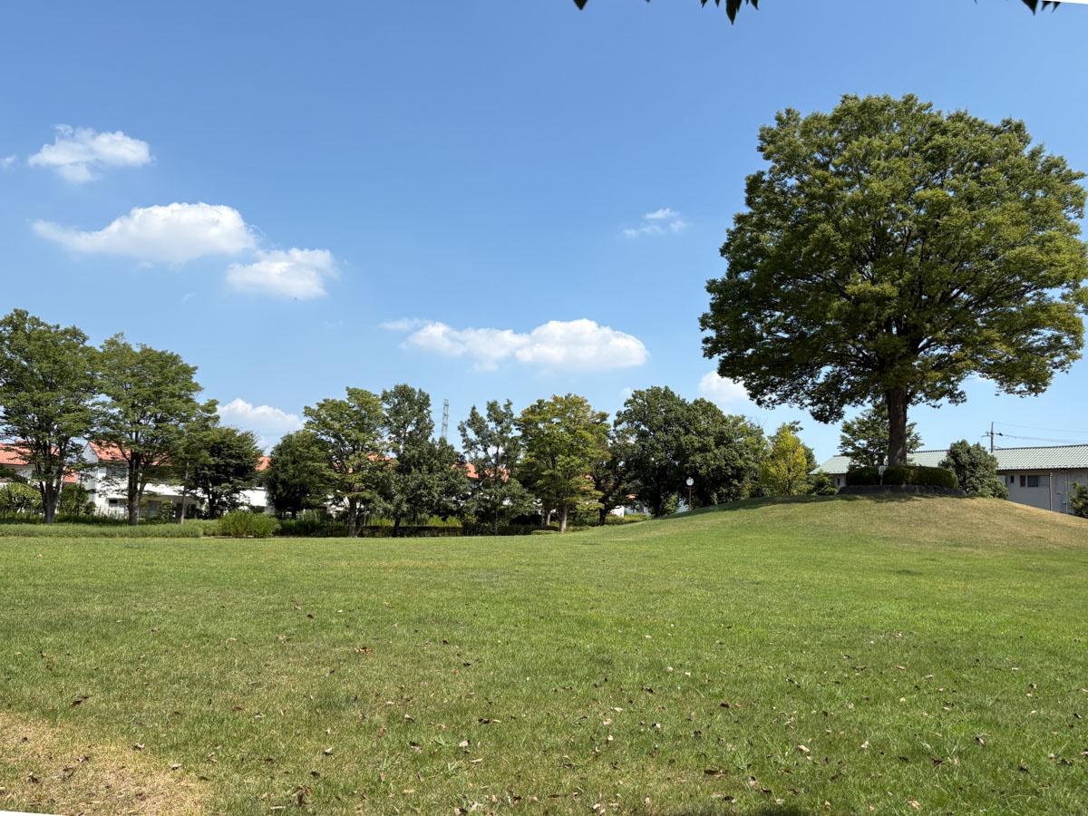 多摩市永山の売買物件/目の前の公園は芝生　冬はここでそりすべり