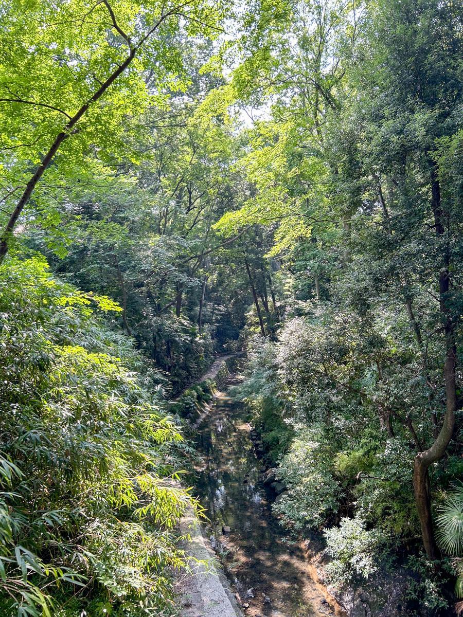 世田谷区中町の賃貸物件/等々力渓谷