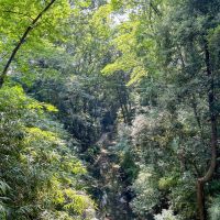 世田谷区中町の賃貸物件/等々力渓谷