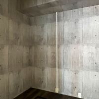 大田区田園調布の賃貸物件/納戸2：コンクリート調のクロスが貼ってあります