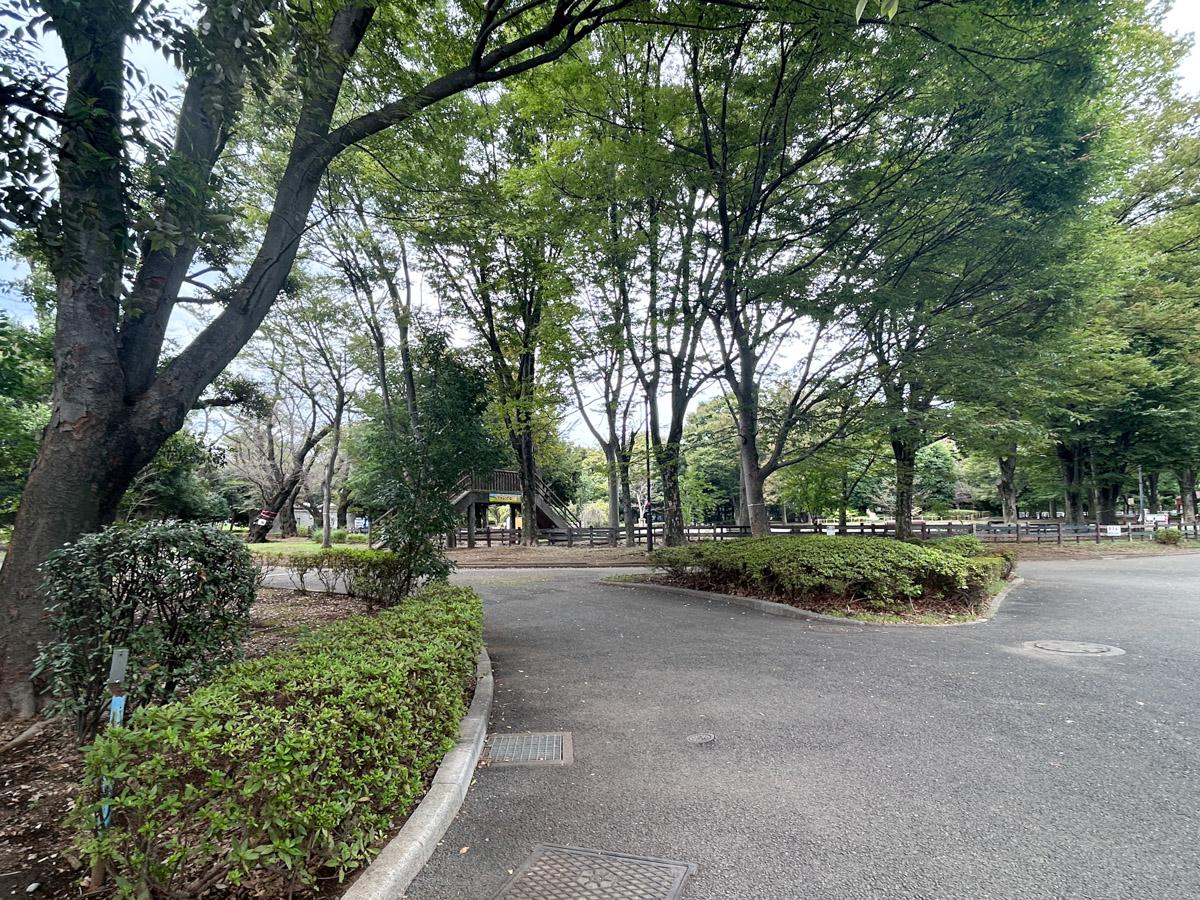 世田谷区池尻の賃貸物件/世田谷公園には歩いて３０秒ほどでつきます。